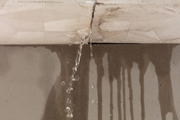 Professional Water Damage Repair technician working in Hemlock, MI